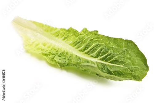 Photo: Salatblatt - Romana Salatblatt - Romana