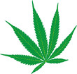 hemp