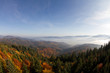 black forest in fall black forest in fall