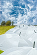 White umbrellas in a field with dark stormy sky and lightning