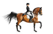 Foto: Equestrian sport - dressage Equestrian sport - dressage