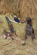 Successful bird shoot Successful bird shoot