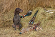 Successful bird shoot Successful bird shoot