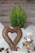Winter Love