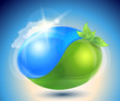Eco-icon with nature yin-yang Eco-icon with nature yin-yang