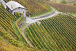 Vigneto Valtellinese