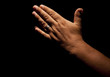 Praying Hands
