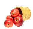 red apples in wooden bucket
