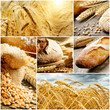 Set of traditional bread, wheat and cereal Set of traditional bread, wheat and cereal