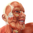 muscle man smiling on side view