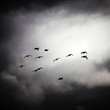 Caerlaverock Sky2