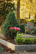 Friedhof 2