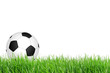 football in green grass