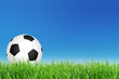 football in green grass