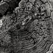The-Age-Of-Erosion