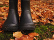 Autumn Fall concept wellington boots leaves and rain