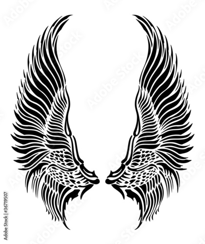 Vektor: Wings_dekor Wings_dekor