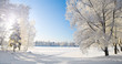 Winter park. Panorama Winter park. Panorama