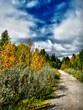 Bow-River-Trails