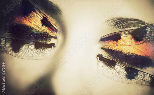 Photo: Dragon-Fly-Eyes Dragon-Fly-Eyes