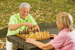 Photo en ligne au meilleur prix happy senior couple playing chess on a park bench