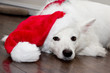 Sad Christmas