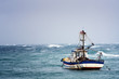In-the-wild-sea