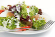 Bunter Salat mit Ei