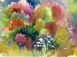 Watercolor Landscape Collection: Summer