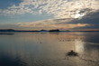Photo: Wintersea Wintersea