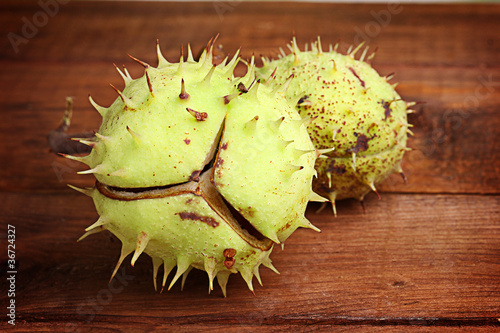 Photo: green chestnuts on wooden background green chestnuts on wooden background