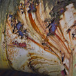 industry-colors 12