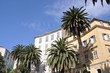 place des palmiers