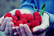 Wild-Berries