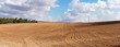 Panorama of yellow plowed field on cloudy day