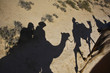 Camels