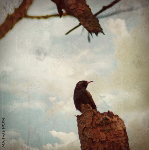 Photo: King King
