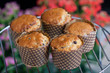 Chocolate chip muffin 1