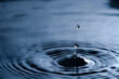Water drop dripping Water drop dripping