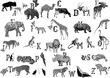grey animals alphabet grey animals alphabet