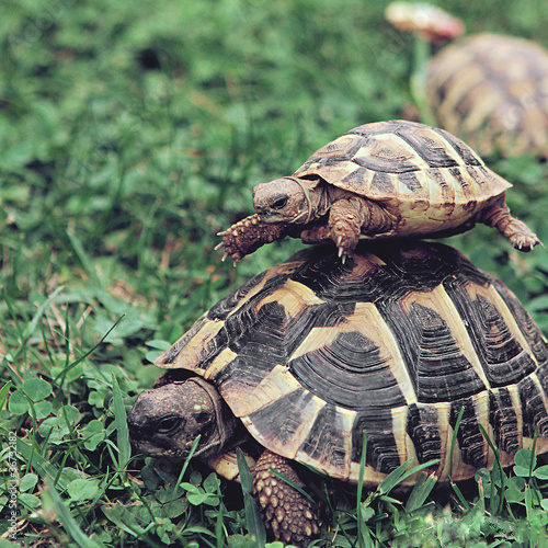 Photo: Hitchhiking. Hitchhiking.