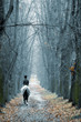 Photo: Bluish-day Bluish-day