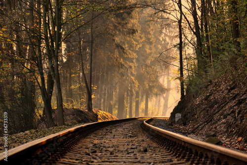 Photo: What-are-trains-dreaming-about What-are-trains-dreaming-about