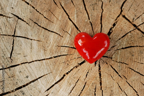 Photo: Red hesrt on wood Red hesrt on wood
