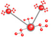 Network concept