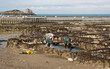 Cancale - Coltivazione cozze e Ostriche - Bretagna (Francia) Cancale - Coltivazione cozze e Ostriche - Bretagna (Francia)