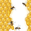 Background with bees, and honeycomb