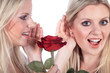 Durch die Blume sagen, Frau flüstert was