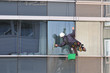 Window cleaner