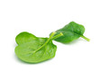 Spinach